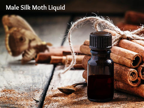 Male Silk Moth Liquid