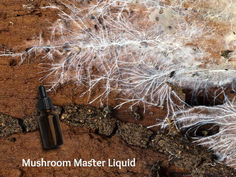 Mushroom Master Liquid