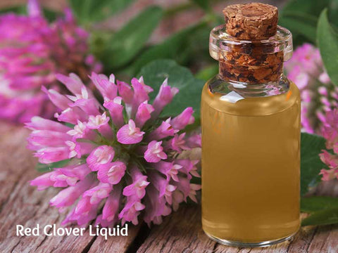 Red Clover Liquid