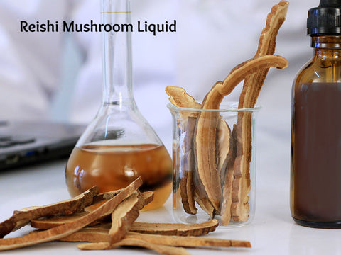 Reishi Mushroom Liquid