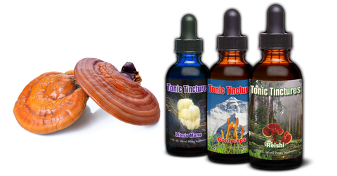 Tonic Mushroom Tincture Supplement Collection