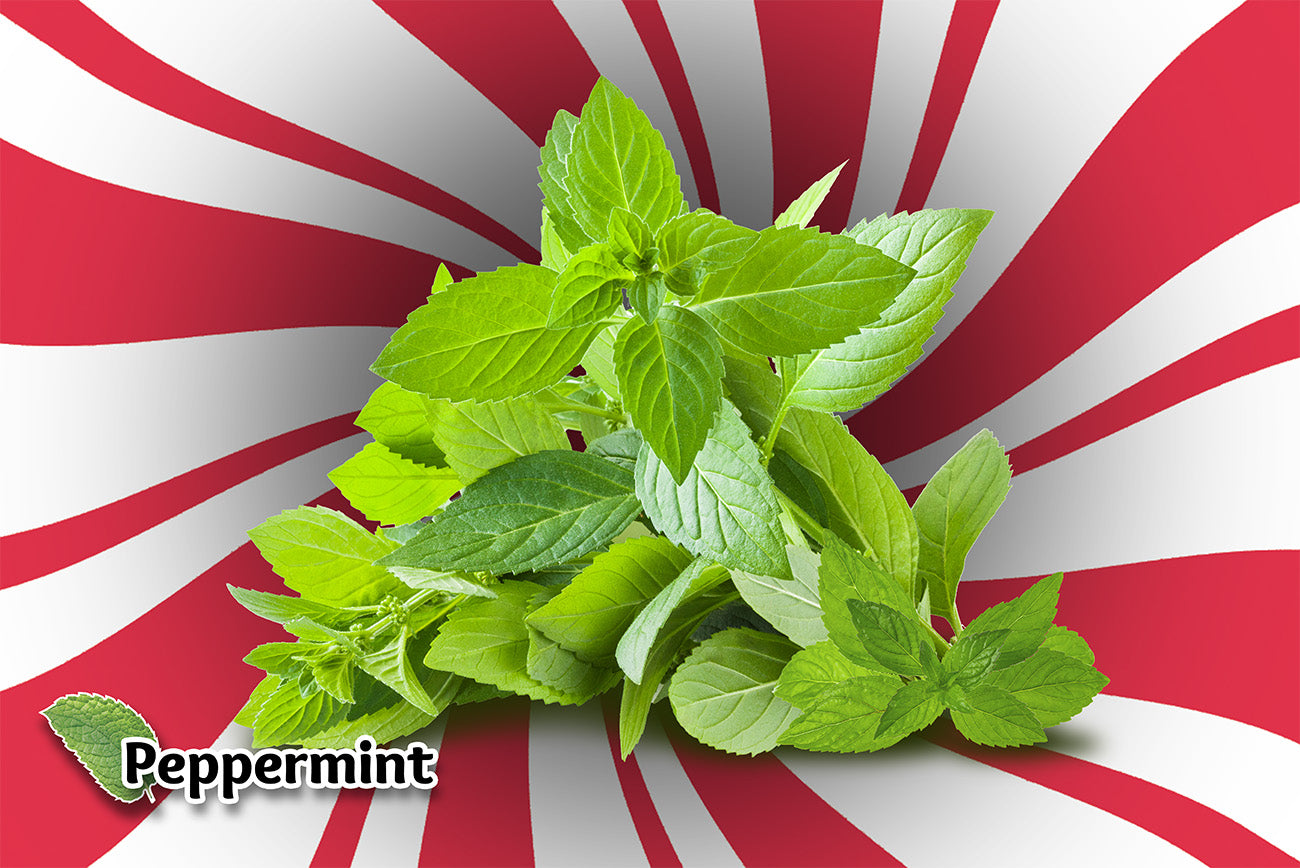 Peppermint Supplement Poster