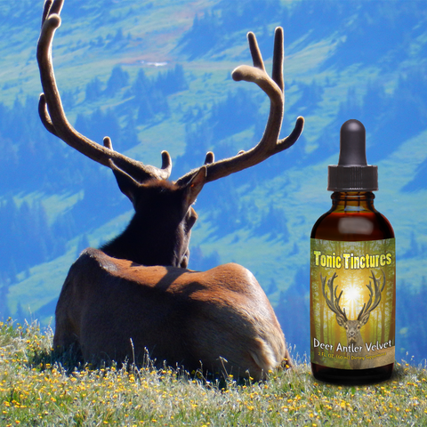 Deer Antler Velvet liquid