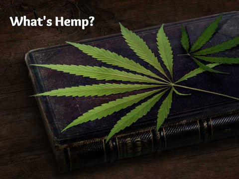 Hemp is an Ancient Plant