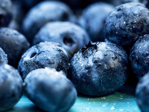 Blueberries Plant Pigment Polyphenols