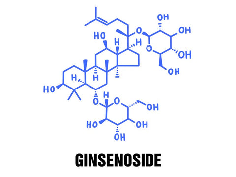 Example Ginsenoside Saponin