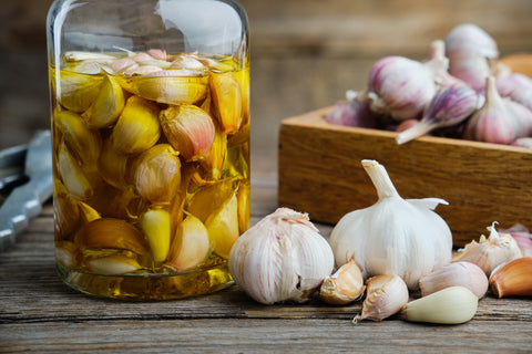 Oil Tincture of Garlic