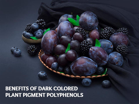 Benefits of Dark Colored Plant Pigment Polyphenols