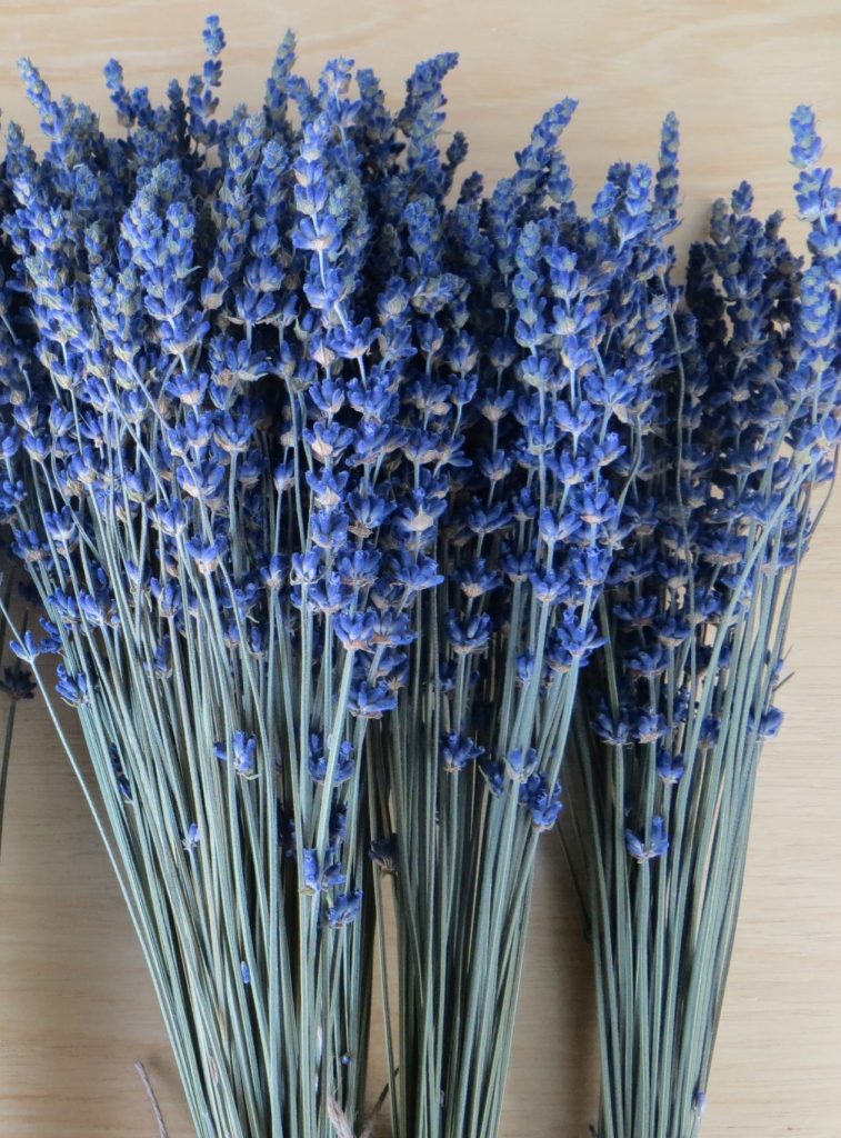 boeket lavendel kopen Elizabeth lavendel essential.blue