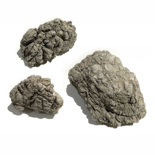 Dragon Scale Stone (15 lbs per order) 7" and larger mix ...