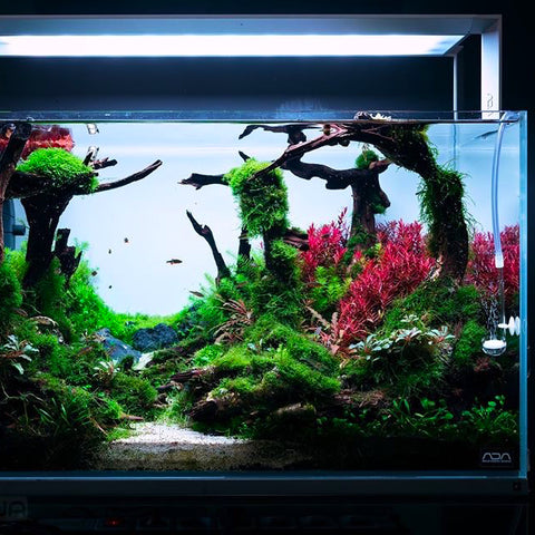 ADA AQUASKY RGB 60 (for W60cm tank with glass thickness of 6mm