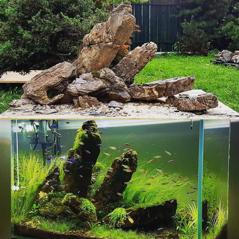 frodo stone aquascape