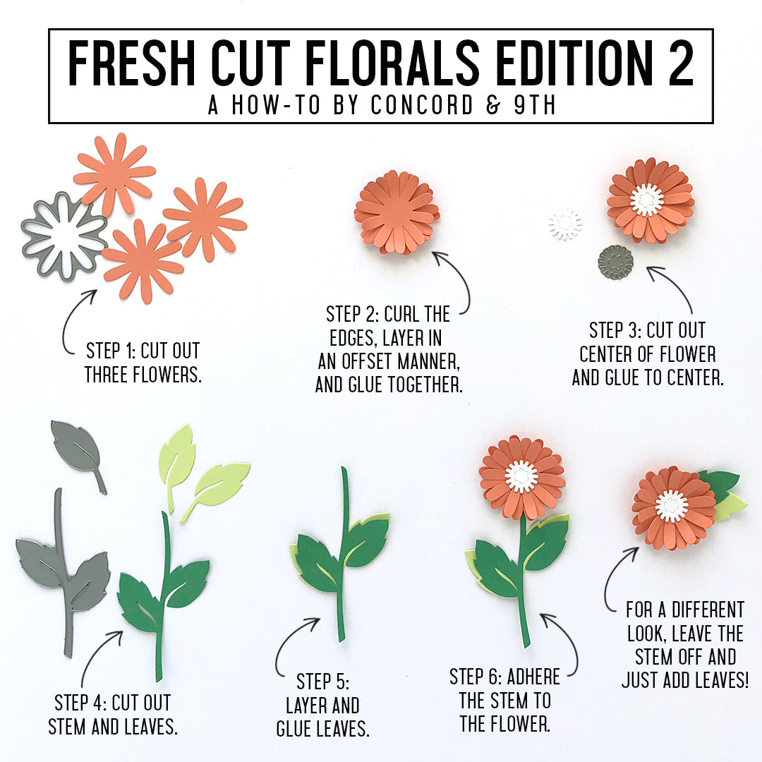 Fresh Cut Florals Dies Edition 2 - Concord & 9th