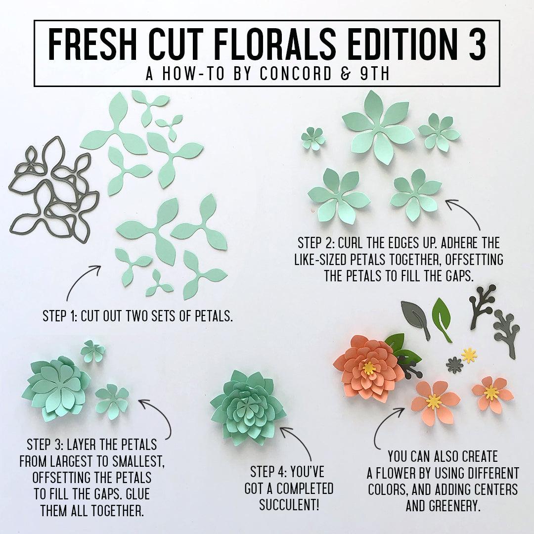 Fresh Cut Florals Dies Edition 3 - Concord & 9th