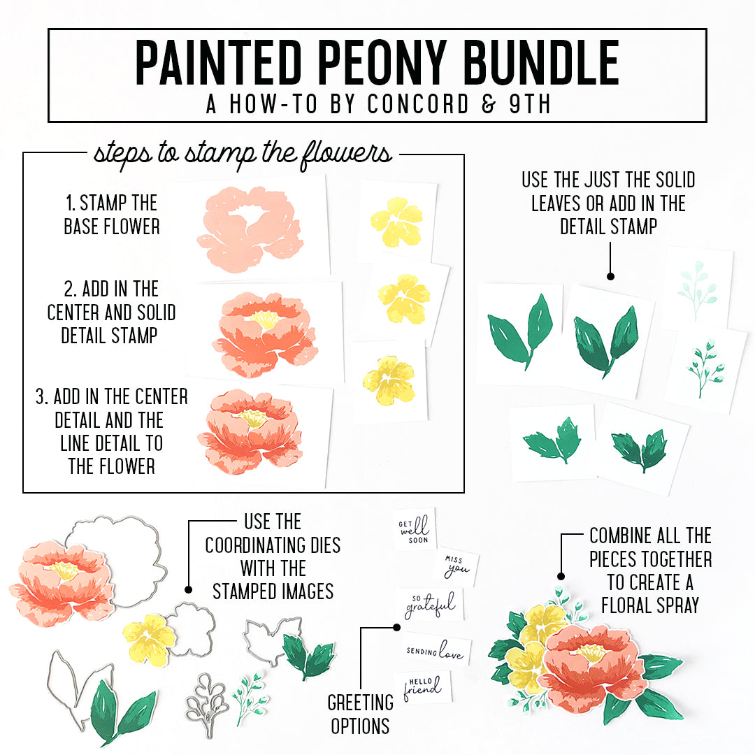 Painted Peony Stamp Set - Concord &amp; 9th