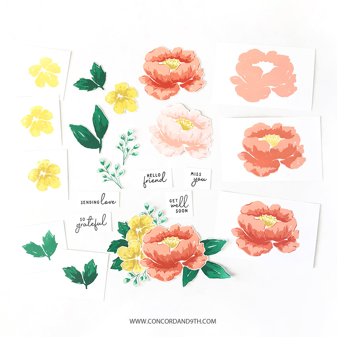 Painted Peony Stamp Set - Concord &amp; 9th