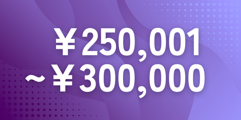 250,001円～300,000円