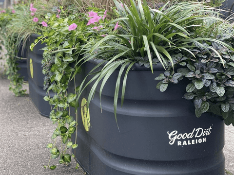 Various plants in a large planter