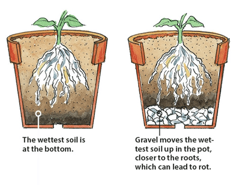 Graphic illustrating the negative affects of placing gravel in the bottom of your plants' pots.