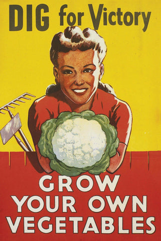 Vintage USDA sign promoting Victory Gardens. Text reads Dig for Victory. Grow your own vegetables. Drawn image of a woman gardener smiling broadly.