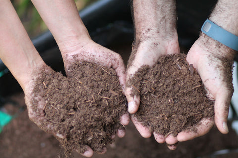 Hands holding peat based dirt