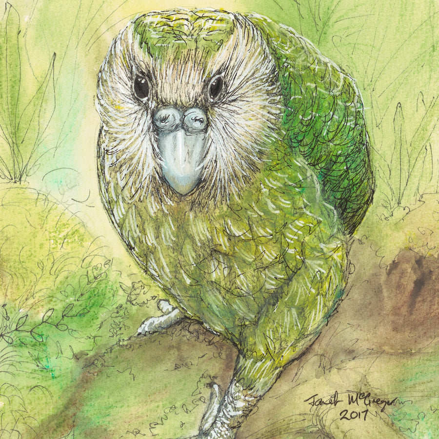 kakapo-cropped.jpg