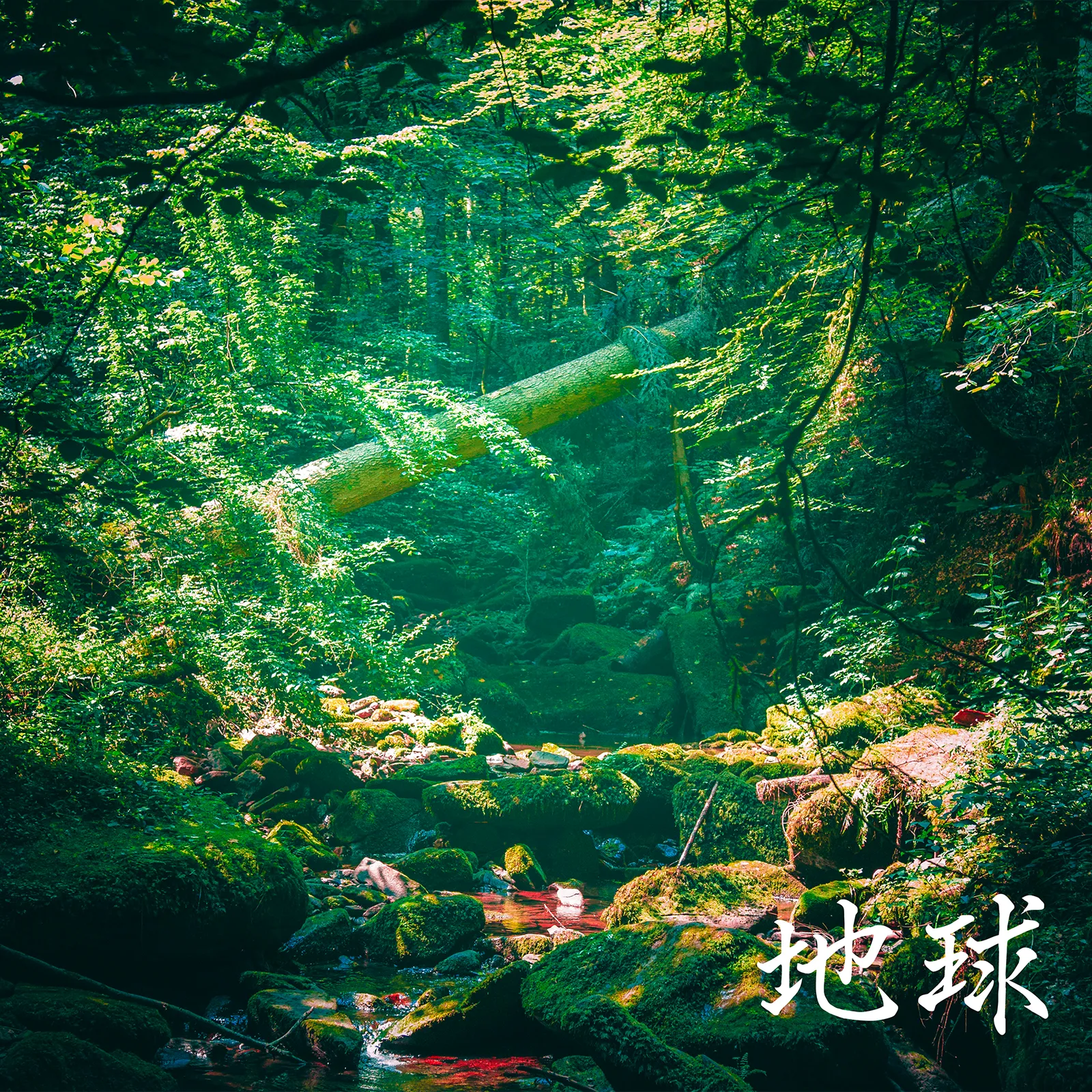 HR002