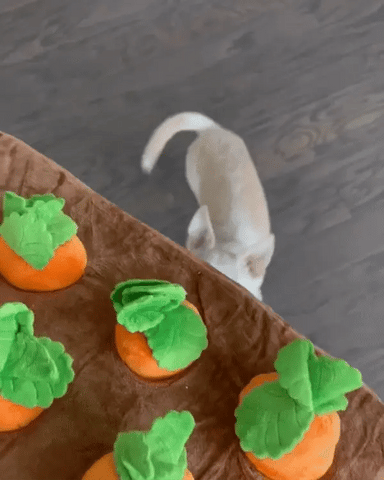 Carrot Farm Dog Toy – PUPPYPAWSOME