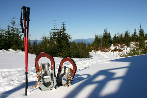 Winterwandern - Bild von Schneeschuhen und Wanderstöcken im Schnee