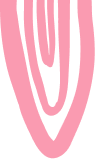 Vector Color Pink
