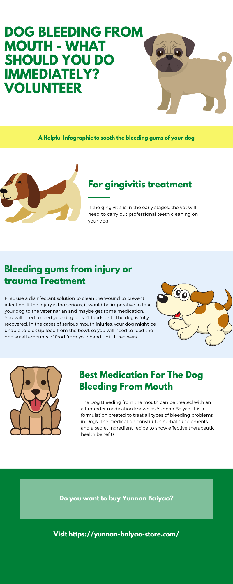 Treatment for Dog Bleeding From Mouth