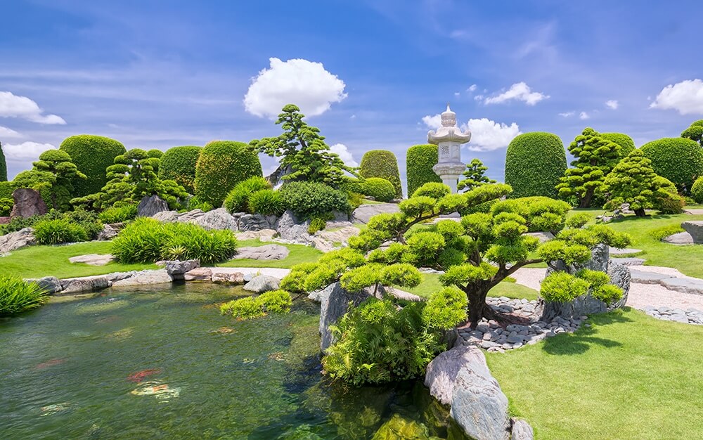 Bonsai – die Entstehungsgeschichte von Niwaki – ein Kunstwerk der Landschaftskunst