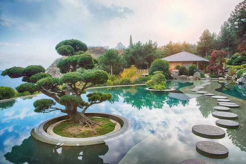 Garden bonsai - the rules of Niwaki garden design - a work of landscape art