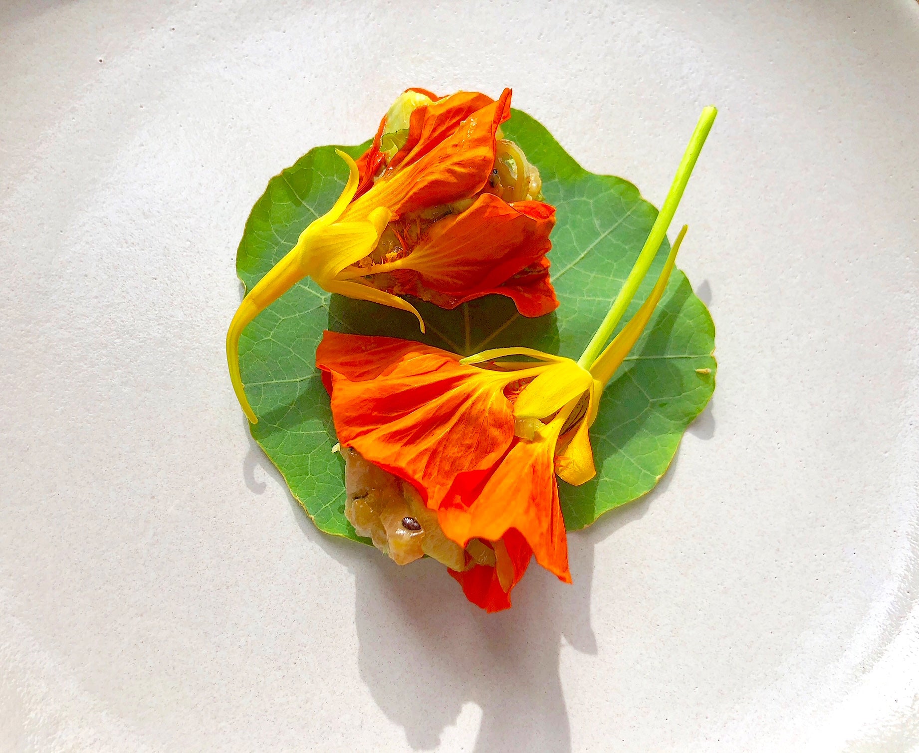 kampachi tartare