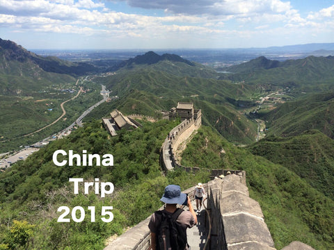 Shaolin Kungfu Chan's China Trip 2015 Photos - Shaolin Temple, Beijing, Kaifeng