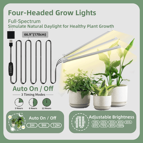 plants grow lights