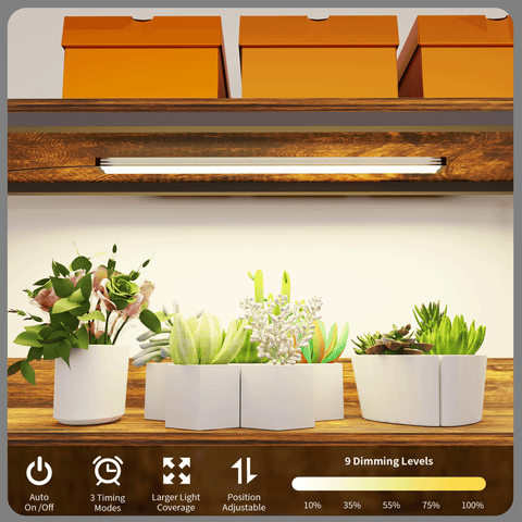 Brightness-adjustable, time-settable plant grow lights