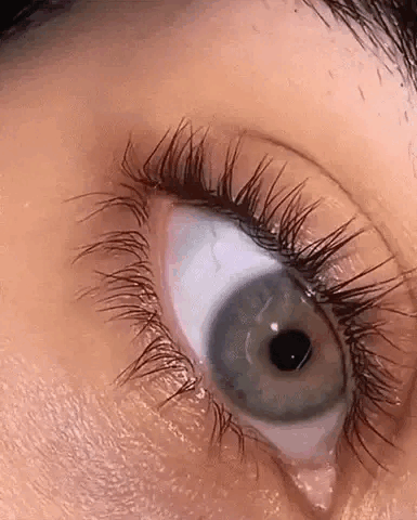 Eye Lash Curler – Clean Self