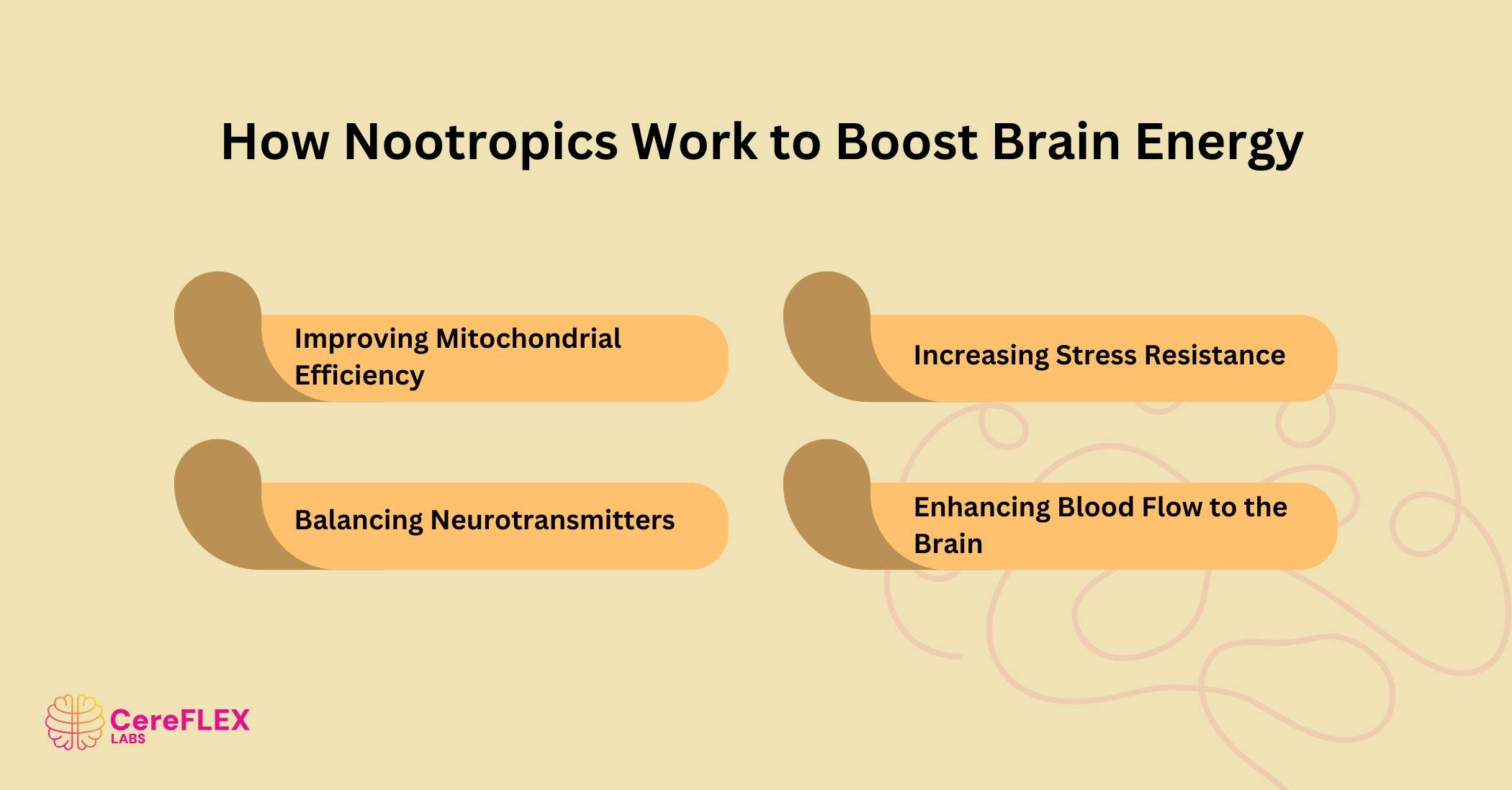 How Nootropics Work to Boost Brain Energy