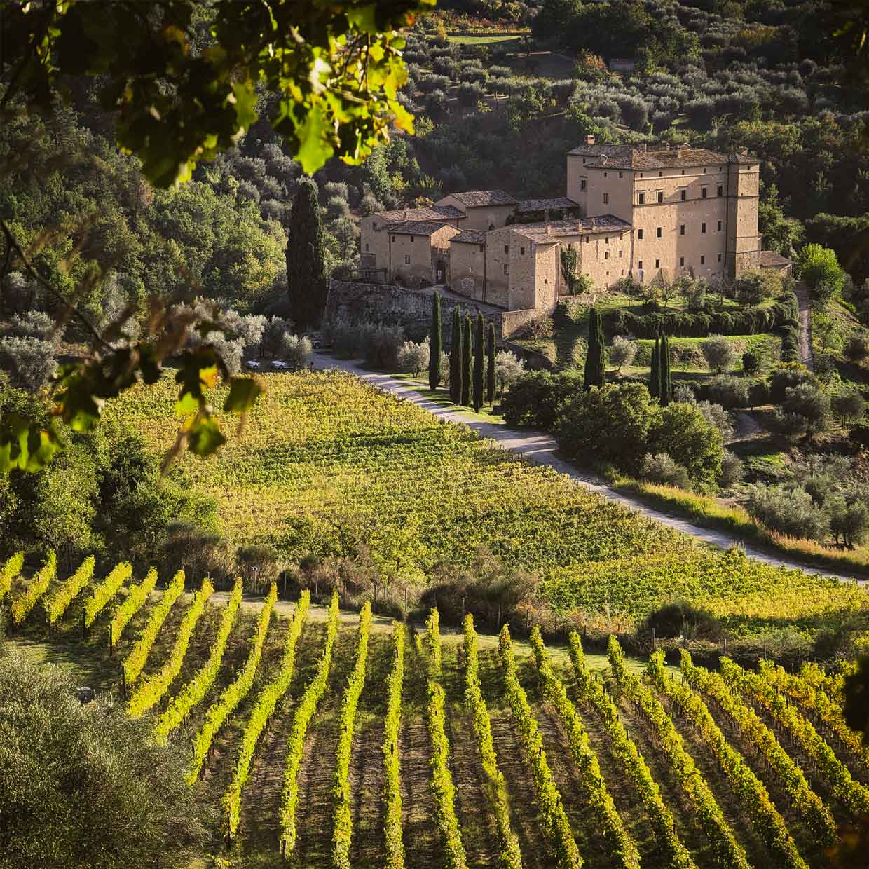 Castle in Tuscany in vineyards