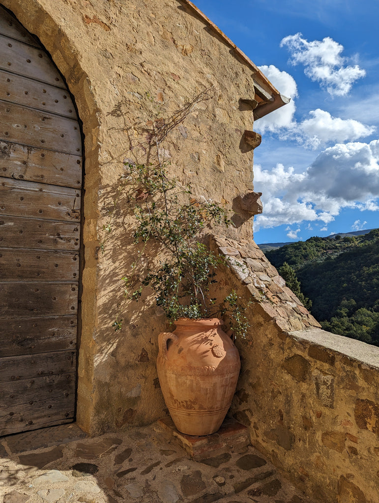 inner courtyard with terracotta pot