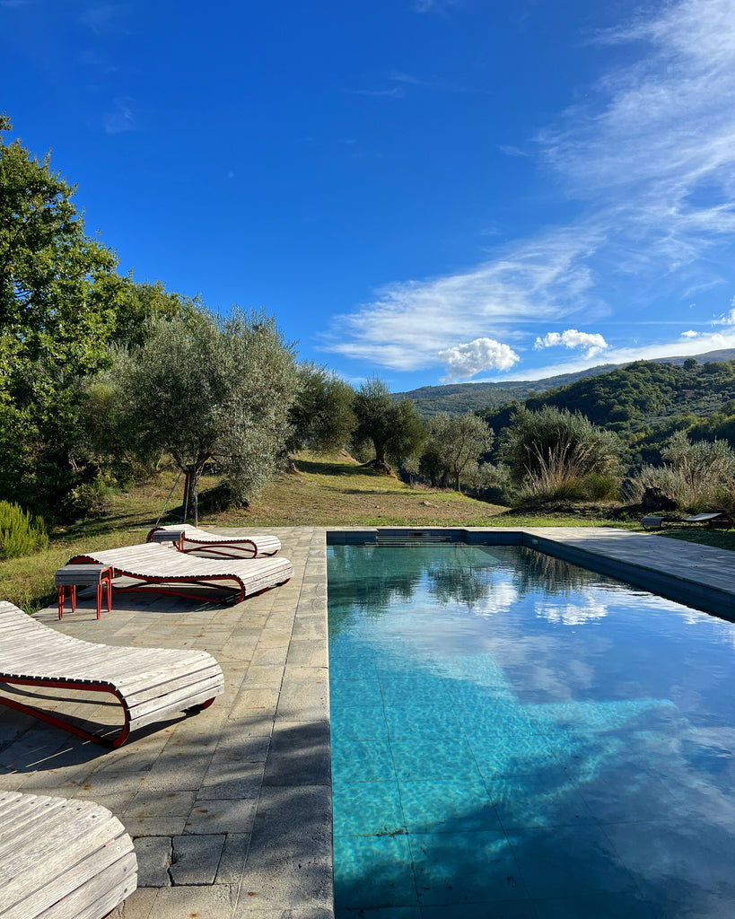 voew of pool with olive trees
