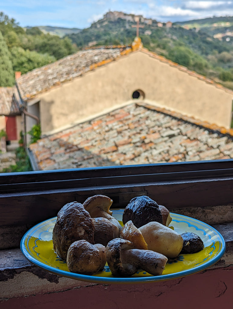 bowl of porcinis on window sill