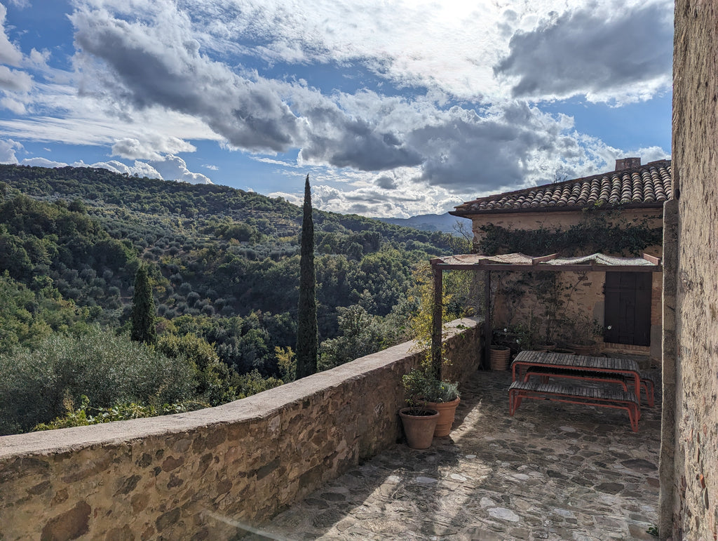 view of the mountians from inner courtyard walls of castlrr