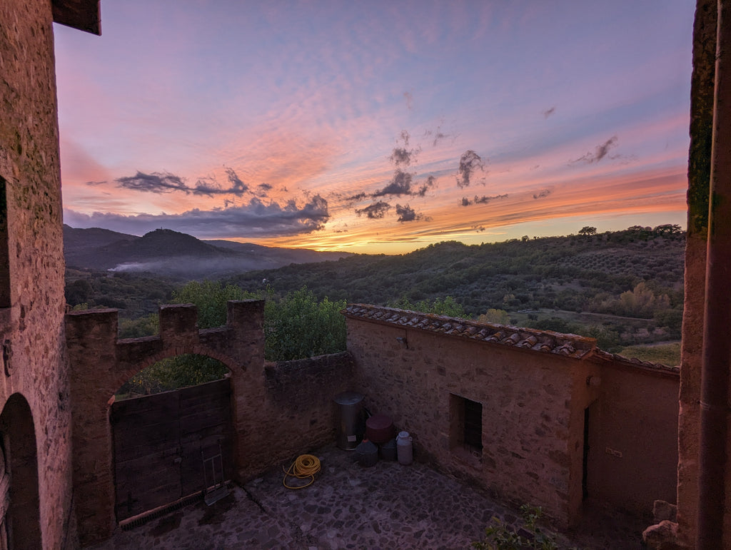 sunset from courtyard