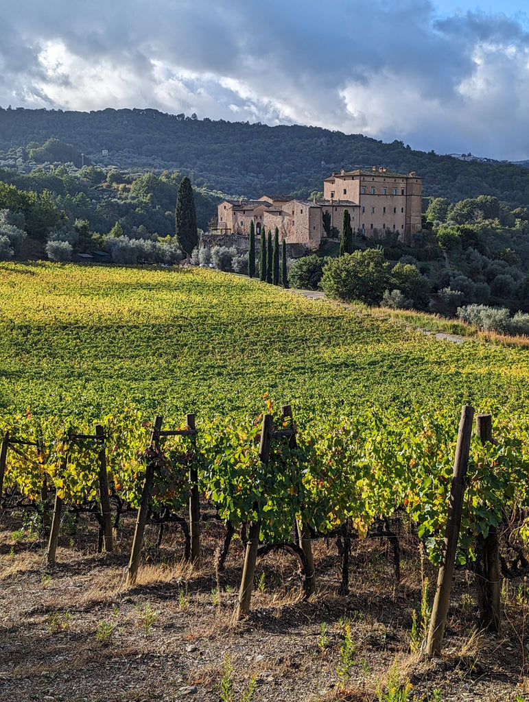 view of the vineyard and castle in tuscany