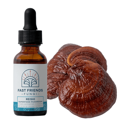 Reishi Superfood Mushroom Tincture