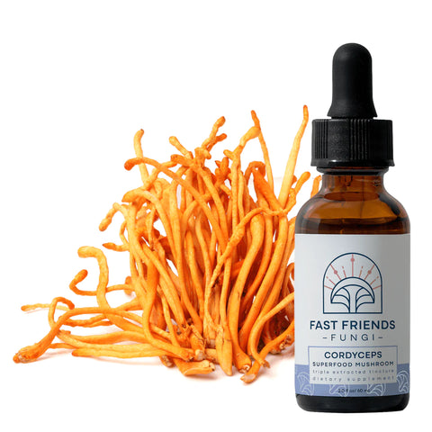 Cordyceps superfood mushroom tincture