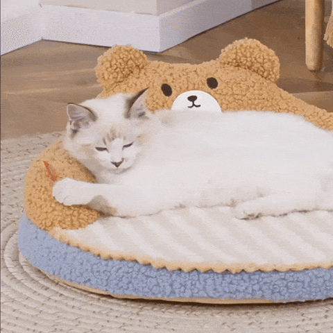 GIF