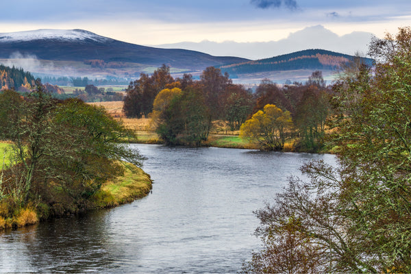 The River Spey